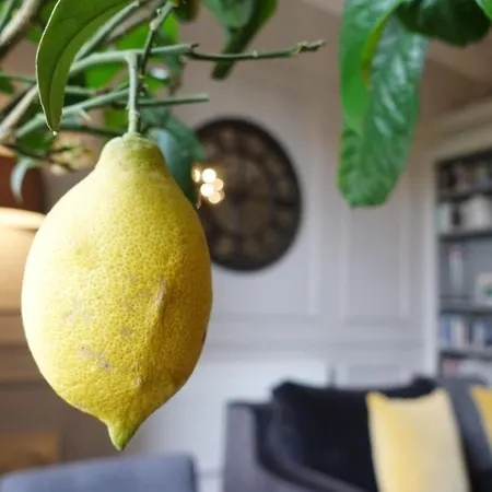 Apartmán Luxurious Newly Renovated Dublin