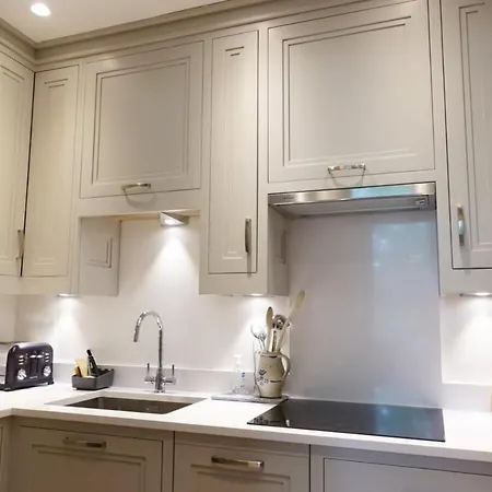 公寓 Luxurious Newly Renovated 都柏林